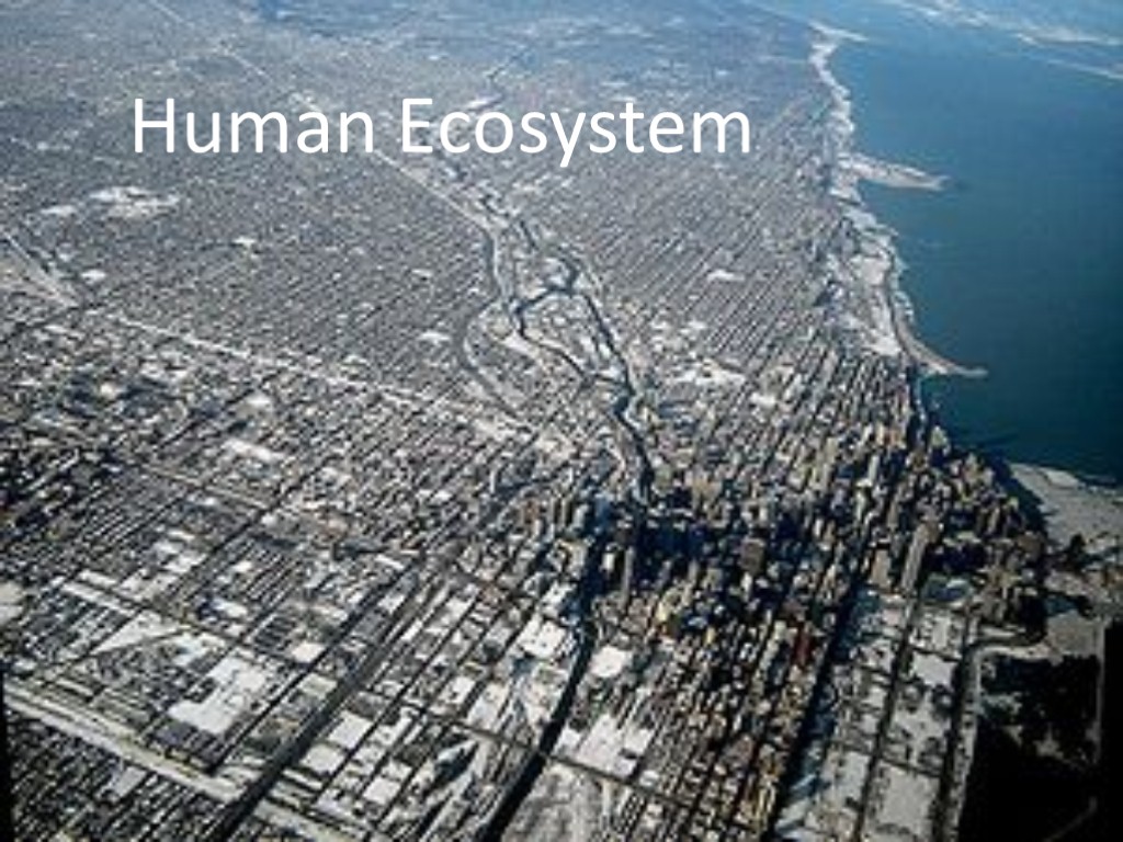 Human Ecosystem